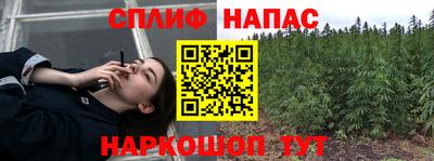 гидропоника Славгород