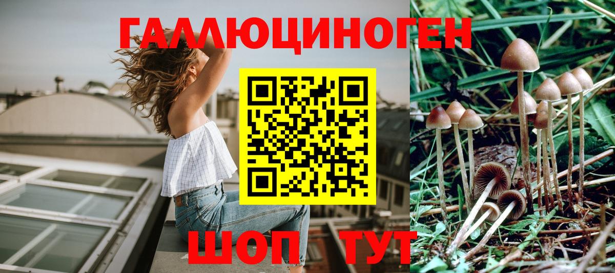 Новочебоксарск  Псилоцибиновые грибы Psilocybe  Вход с VPN  Галлюциногенные грибы GOLDEN TEACHER 