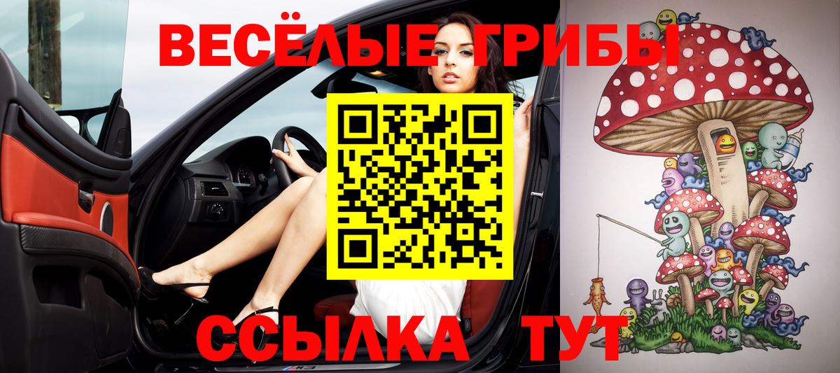 Псилоцибиновые грибы MAGIC MUSHROOMS Новочебоксарск